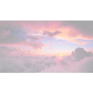 女人做爰高潮全过程免费看
